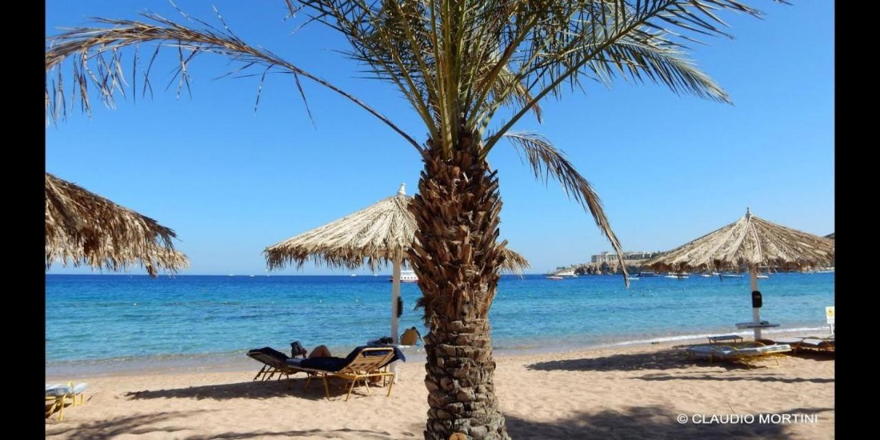 ホテル Sharm Dreams Vacation Club - Aqua Park エクステリア 写真 El Alamein beach